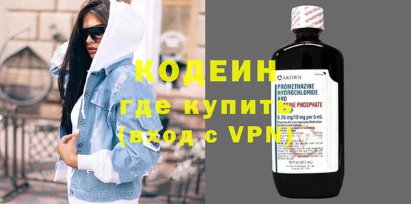 индика Карталы