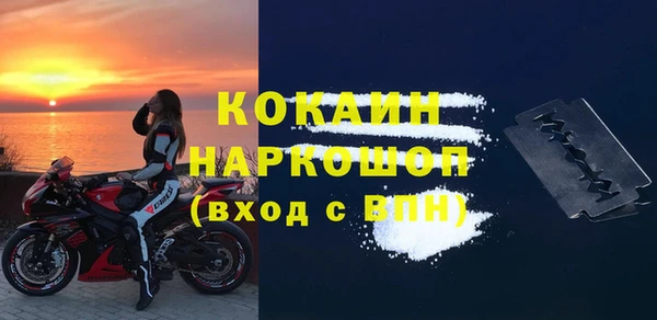 индика Карталы