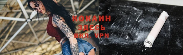 индика Карталы