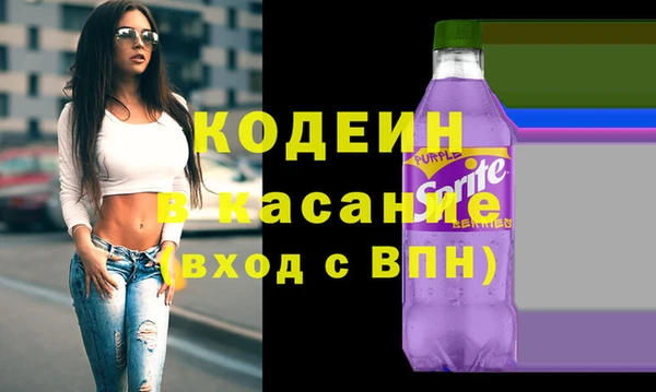индика Карталы