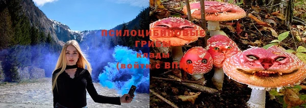 индика Карталы
